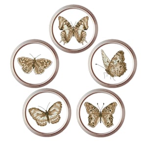 Beige Butterfly Cross Stitch Pattern Set (PDF Pattern)