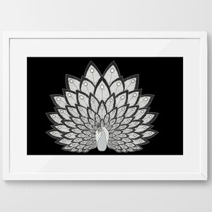 May include: A black and white line art illustration of a peacock with its tail feathers spread out in a fan shape.