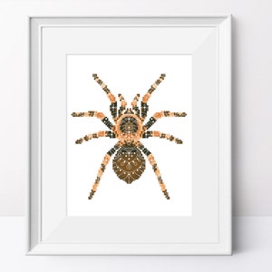 Tarantula with Lace Cross Stitch Pattern: Halloween Spider (PDF Pattern)