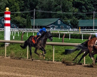 Saratoga Rack Course Final Turn Photo