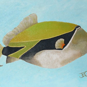 Pintura de peixes, Pintura subaquática, Arte colorida de peixes, Fundo do mar, Animais marinhos