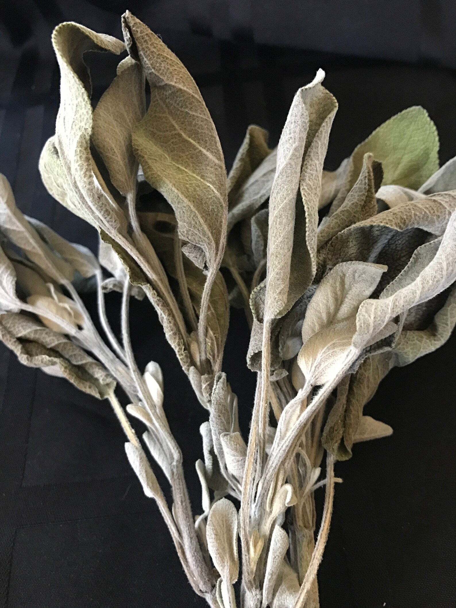 Handpicked Organic Whole Sage Leaves dried Etsy