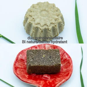 Natural solid shampoo, scalp and dry hair, the complementary duo, the BI NATURE and the DERMO MOISTURIZER45,65gr