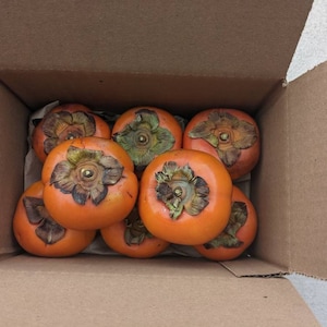 Organically Grown Fuyu Persimmons, 2 Pounds, from Southern California