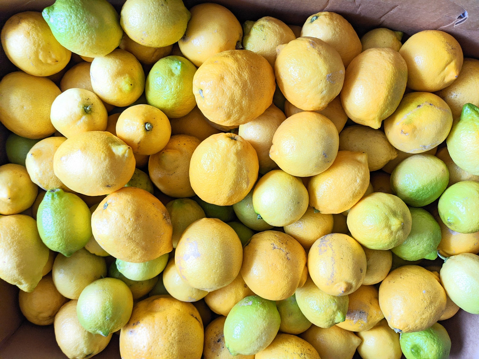 Freshly Picked Unwaxed Lemons 5 Lbs Box 12 to 16 Pcs Naturally Grown in