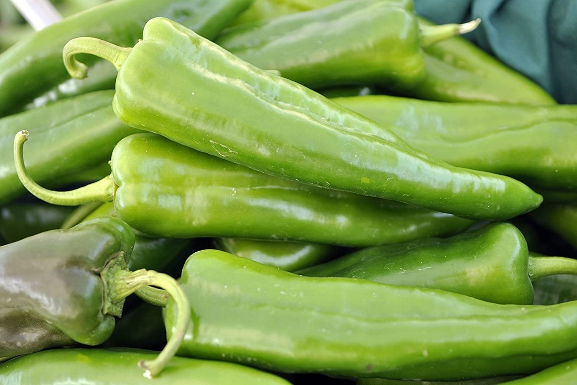 Anaheim Pepper Plant 2 LIVE Vegetable Plants in two 2 Etsy