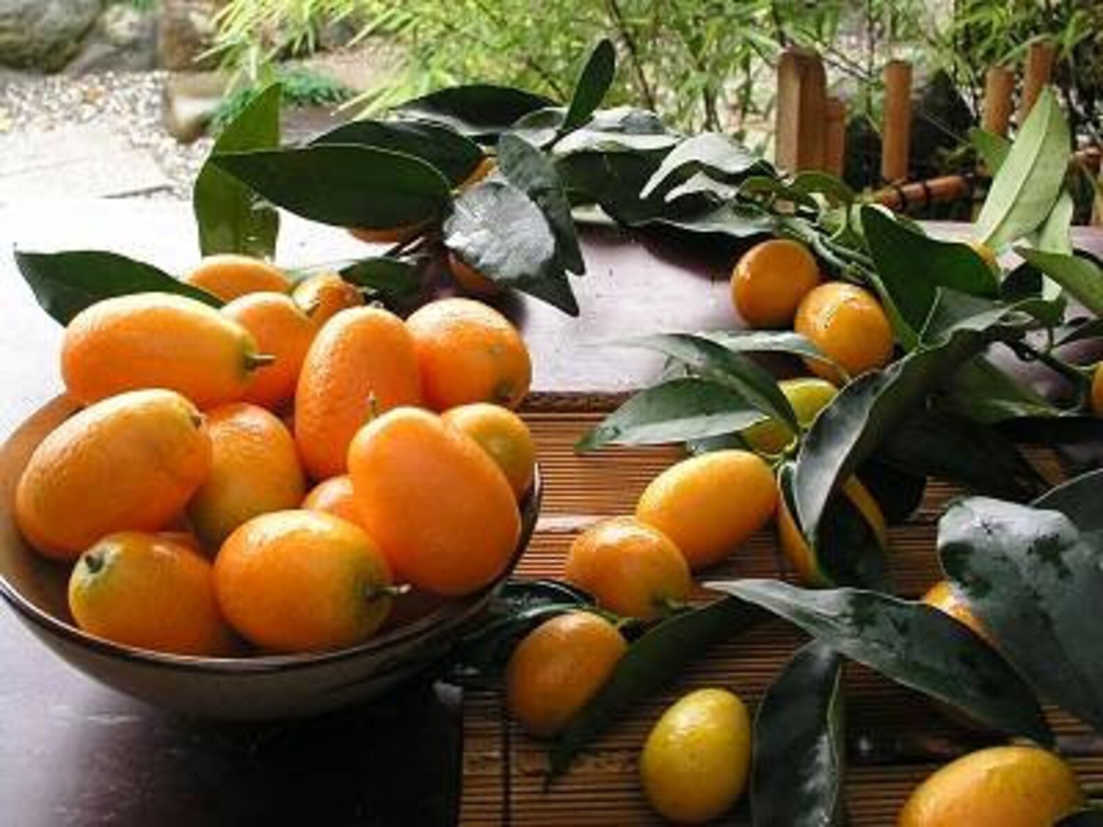 Fresh Oval Kumquat Fruit, No Pesticides Used, 2 Pound Freshly Picked