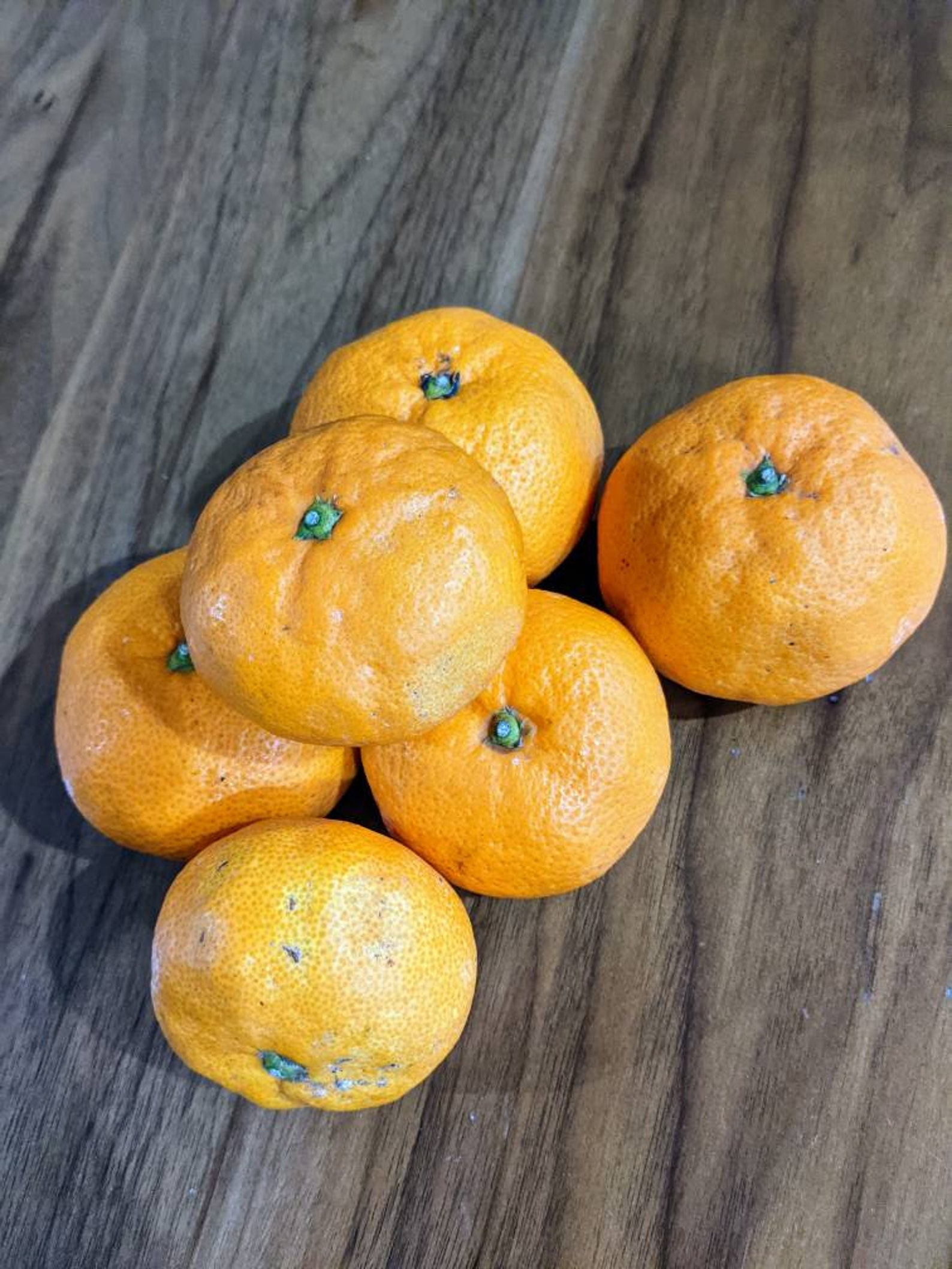 4 Pounds of Fresh Sweet Satsuma Mandarin Tangerine 16 to 20 Etsy