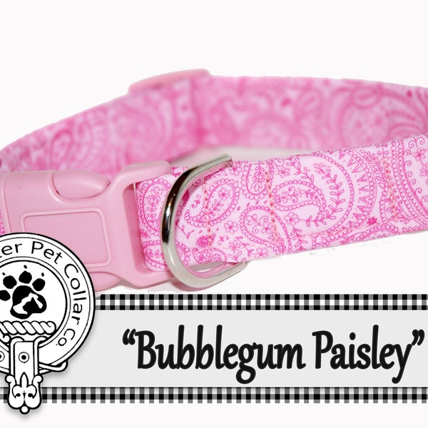 Bubblegum Paisley",  pink paisley Dog Collar in sizes XXSmall to Giant