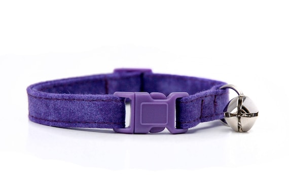purple cat collar