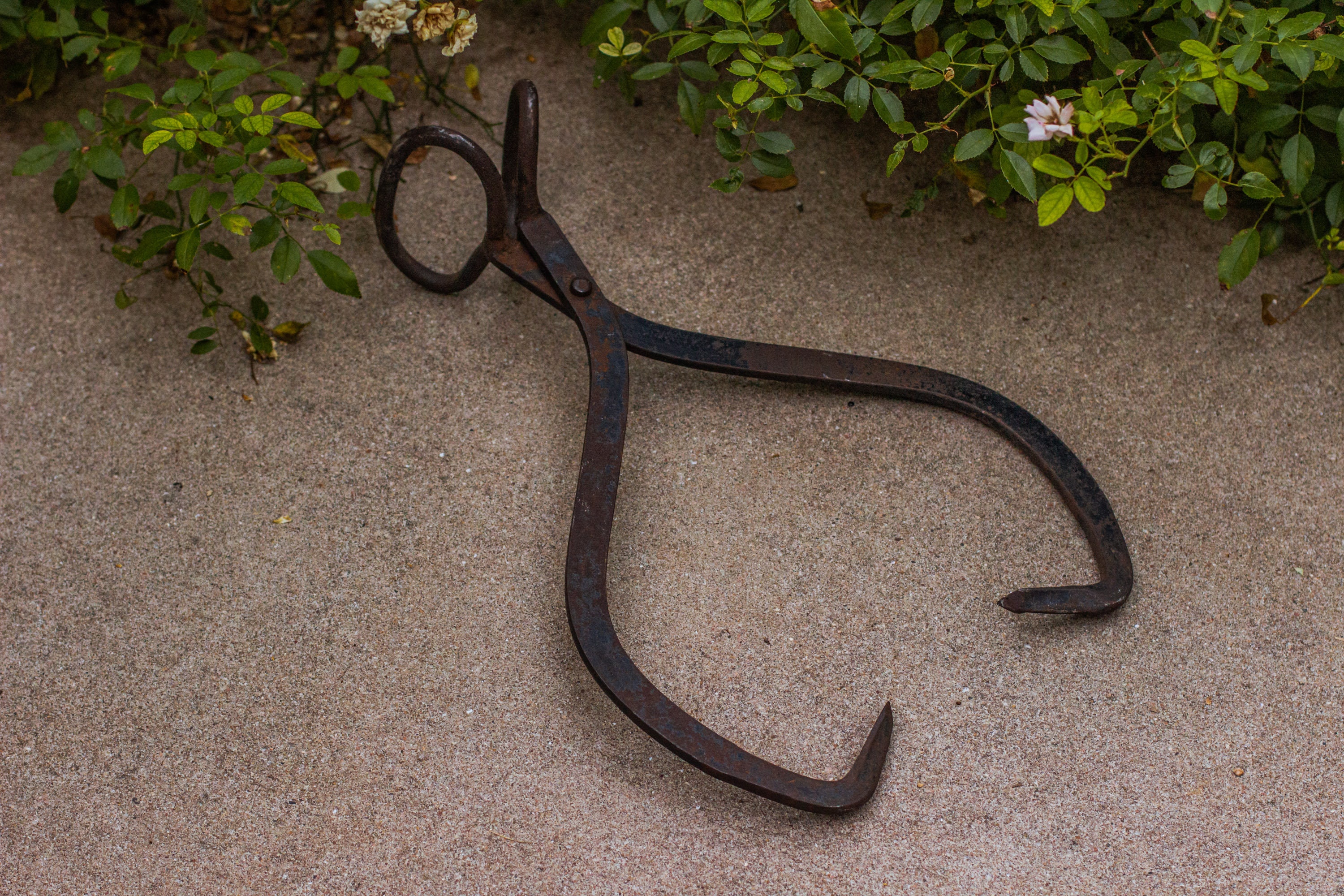 Antique Ice Tongs