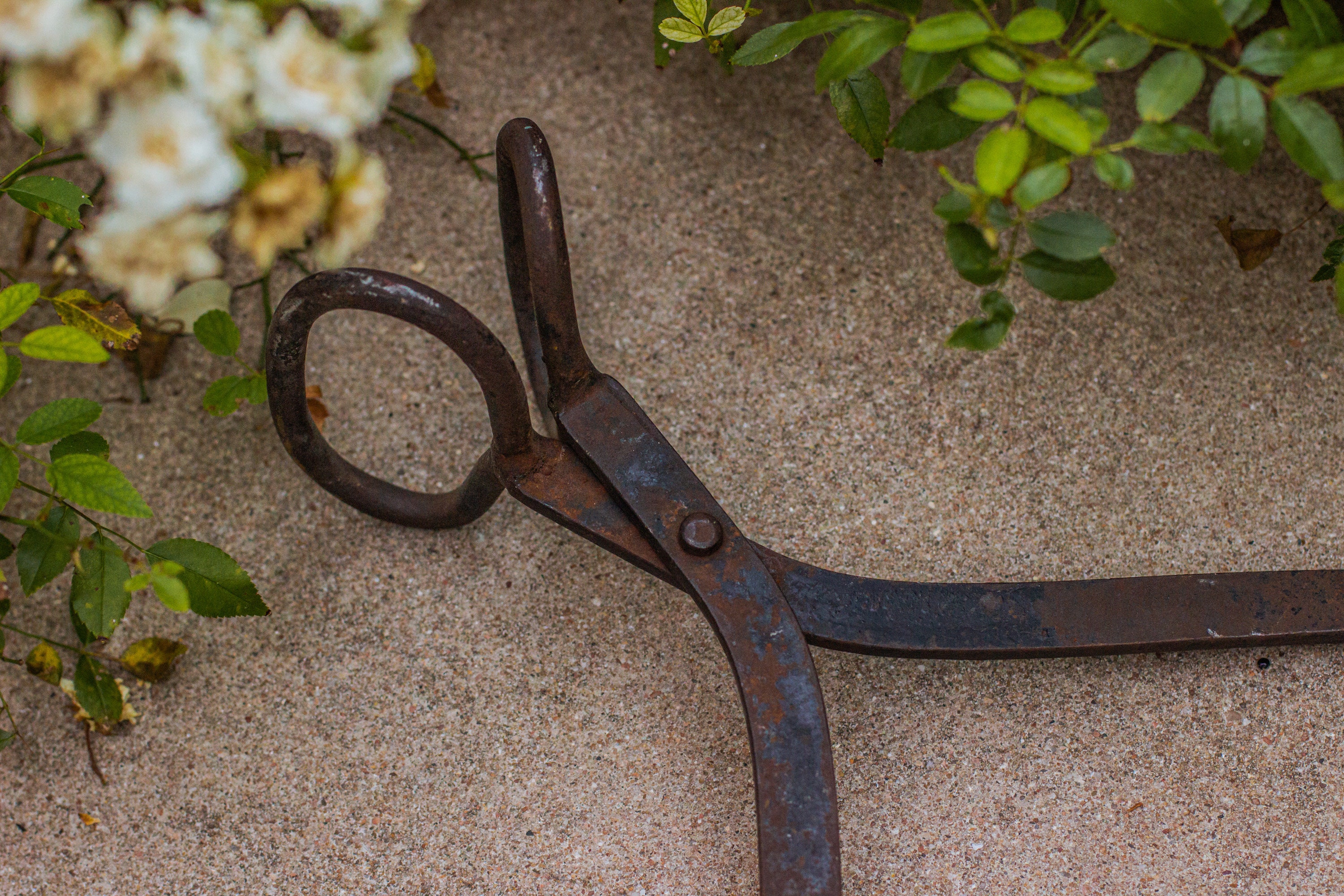 Antique Iron Ice Tongs / Hay Bailing Tongs / Farming Tools / Coal Tongs