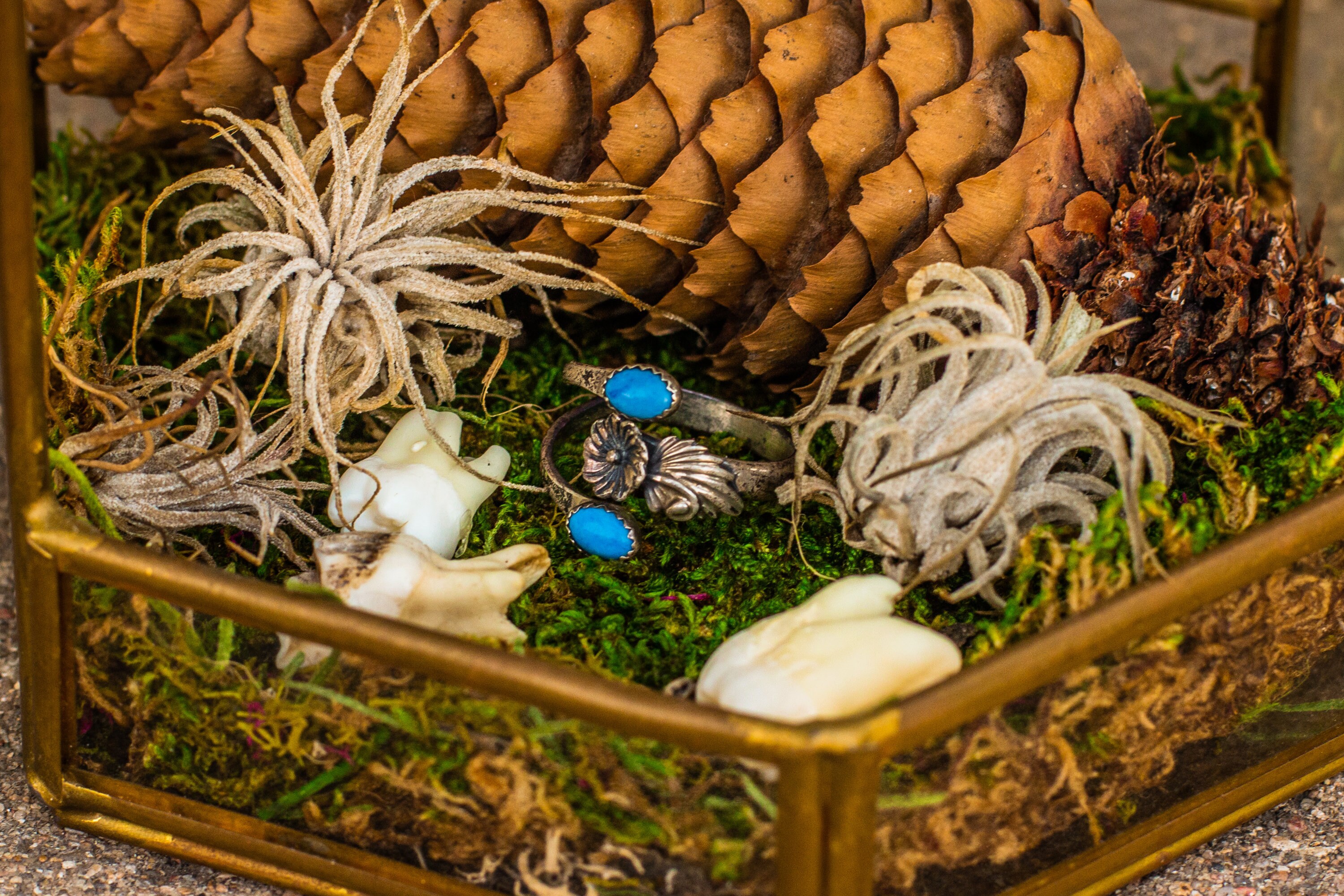 Ancient Poop Gives Clues To Diabetes Epidemic Ancientfoods