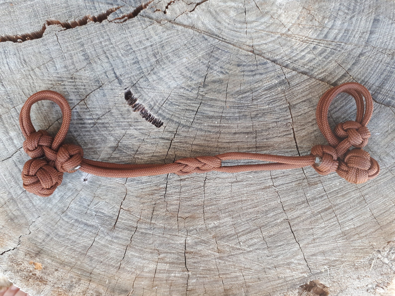 Evolve Bit Hobble Chin Strap for Snaffle Bit in Beige Black Etsy UK