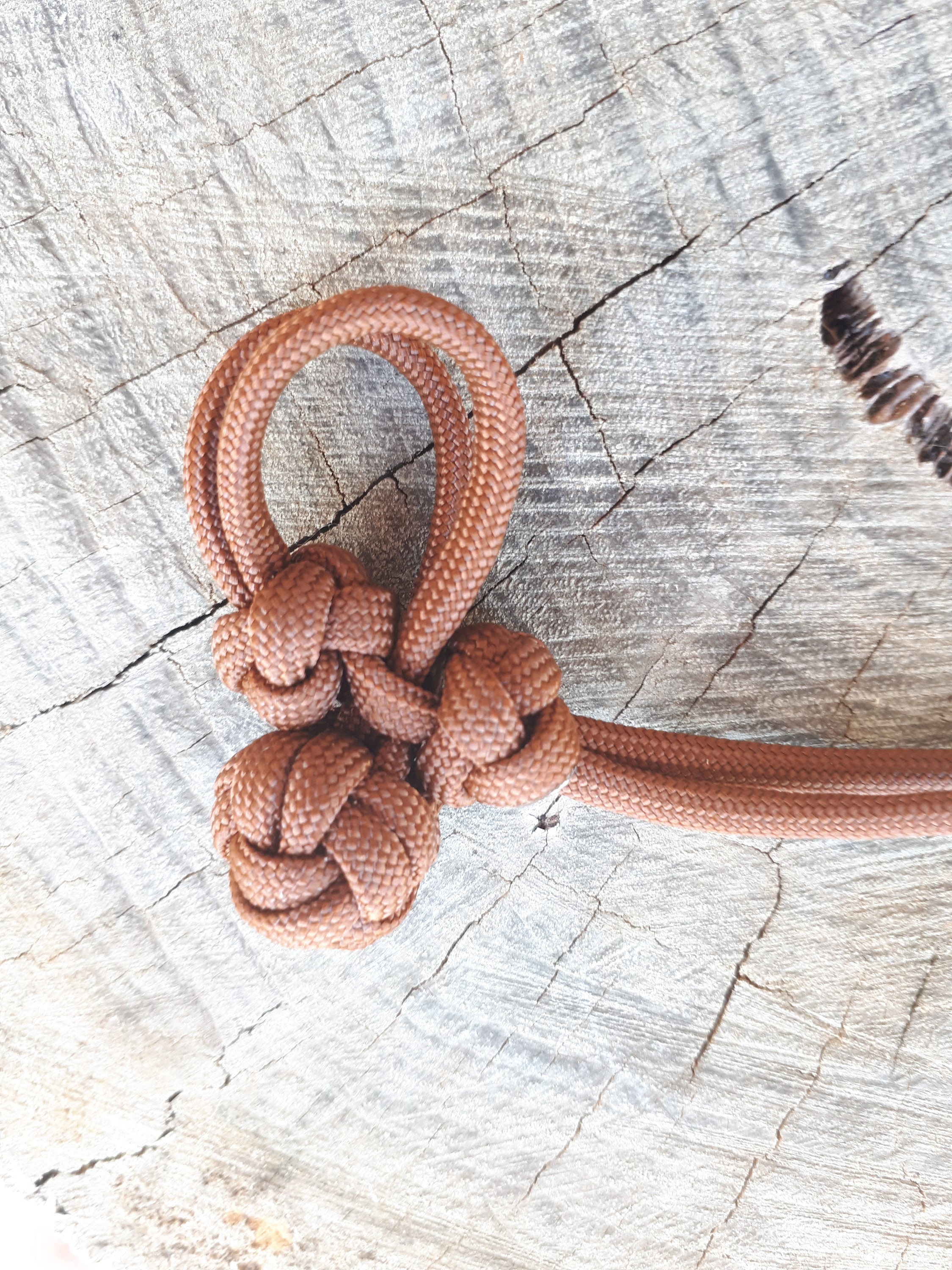 Evolve Bit Hobble Chin Strap for Snaffle Bit in Beige Black Etsy UK