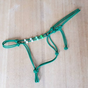 Puede incluir: Un cabestro verde para caballos con cuentas blancas y verdes. Hecho de un material duradero y flexible, presenta nudos y lazos para ajustar. Diseño simple y funcional, adecuado para uso equino.