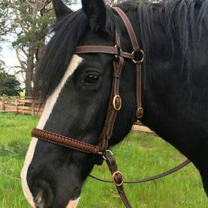 Op de afbeelding: Een close-up van een zwart paard met een bruine leren hoofdstel met messingkleurige hardware. Het paard heeft een witte streep over zijn gezicht en staat in een grasveld. Het hoofdstel is gedetailleerd met stiksels en gevlochten accenten.