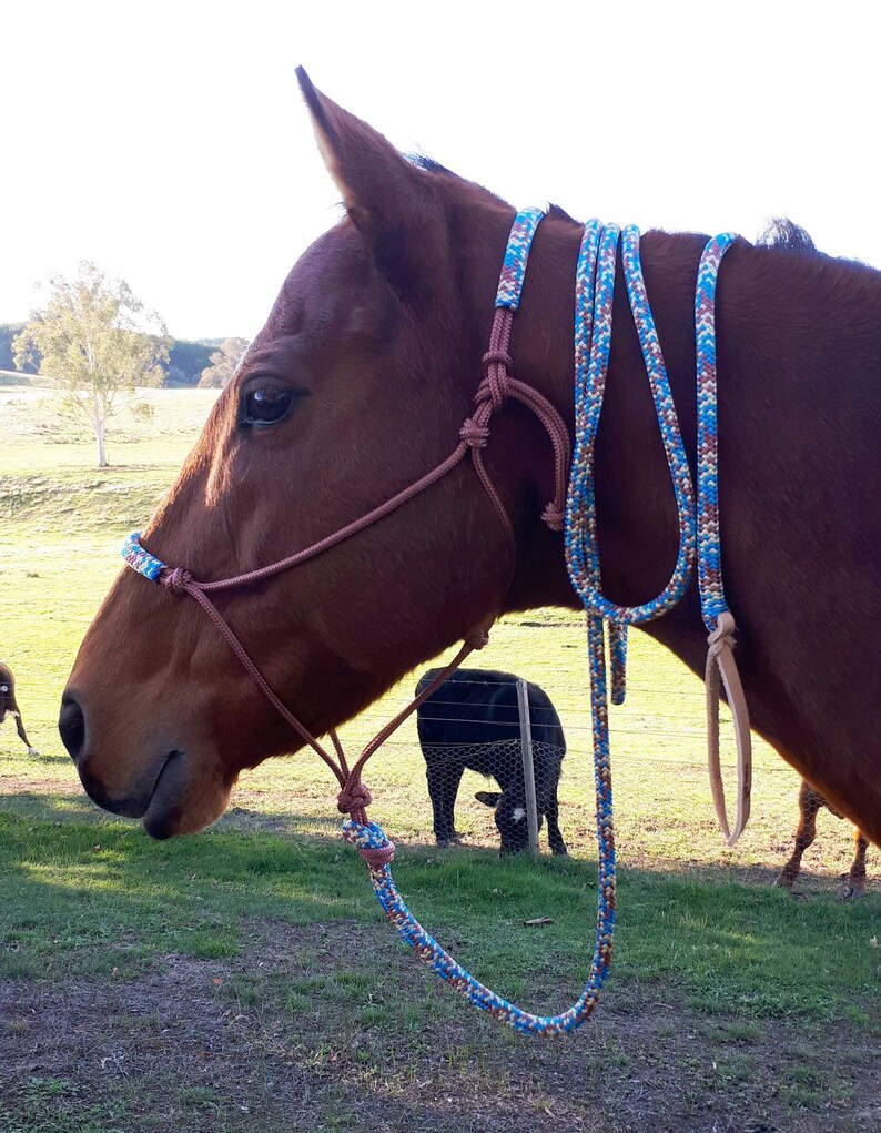 Rope Headstall Halter and 12ft Lead Padded Blue with Blue Etsy