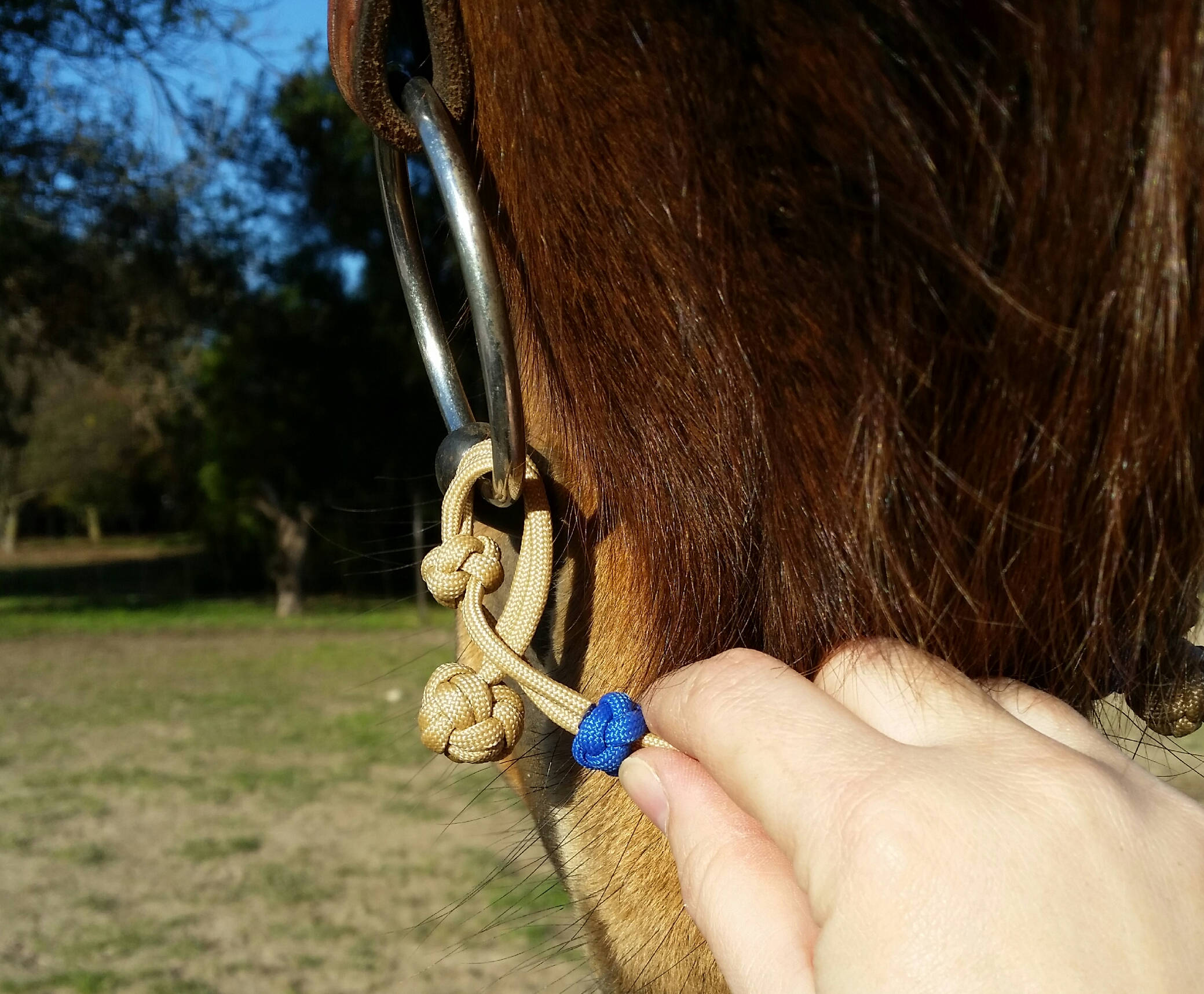 Evolve Bit Hobble Chin Strap for Snaffle Bit in Beige Black Etsy