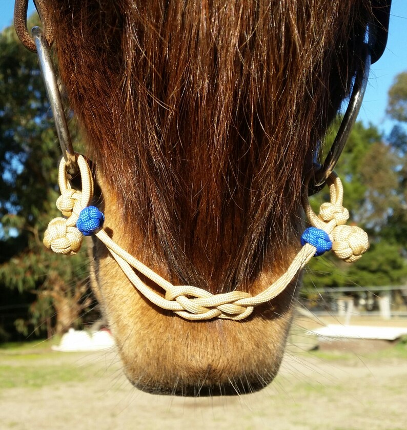 Evolve Equine Bit Hobble Chin Strap for Snaffle Bit in Green Etsy