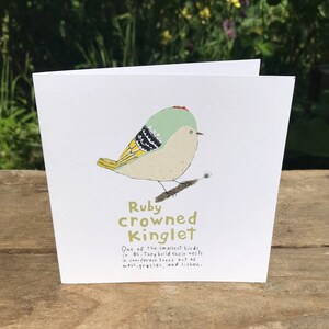 Cartão Ruby Crowned Kinglet, pássaros canoros locais da Colúmbia Britânica, cartões comemorativos, observadores de pássaros, observadores de pássaros, entusiastas de pássaros locais, papel reciclado