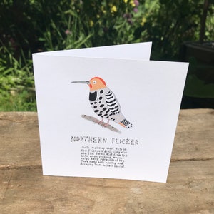Cartão Northern Flicker, Cartões de saudação de pássaros, Pássaros locais ilustrados da Colúmbia Britânica, Observadores de pássaros, Observadores de pássaros, Cartões de saudação em branco, todas as ocasiões