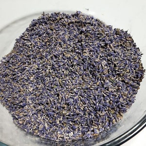 20 Culinary Lavender Spanish Eyes Lavender seeds ( Lavandula