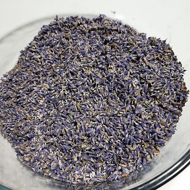 Culinary Lavender Buds, Lavandula Angustifolia royal Velvet Buds