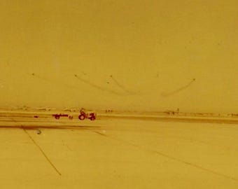 1950s Abstract Air Show Kodacolor Snapshot