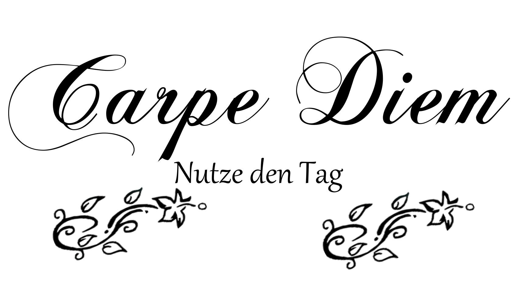 CARPE DIEM AA367 Wandtattoo Wandaufkleber Spruch Wohnzimmer Etsy