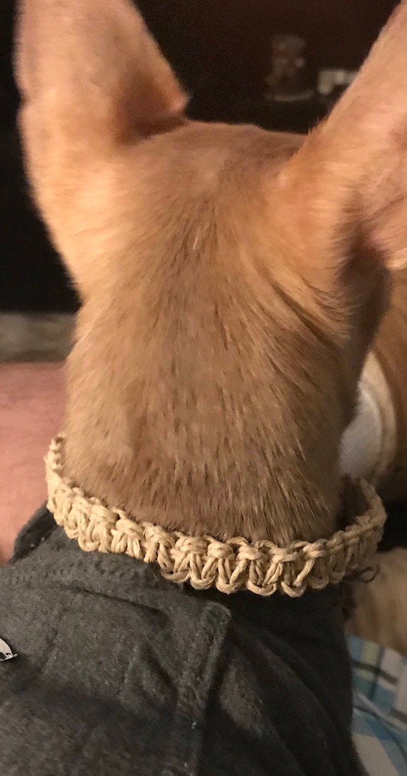 Braided hemp dog collars hotsell