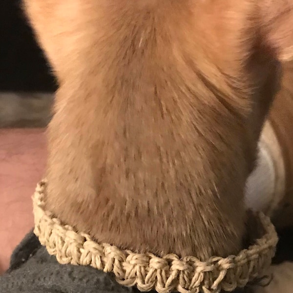 Hemp Dog Collar Etsy