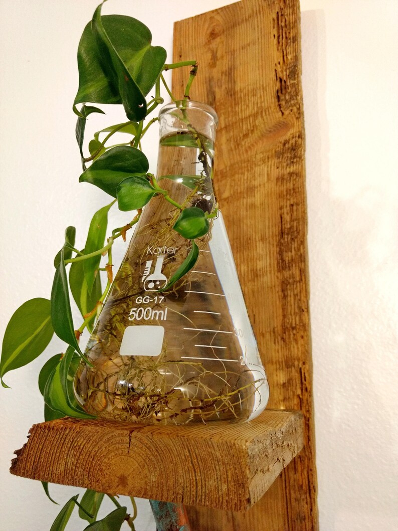 Erlenmeyer Flask 2 Wall Hung Plant Holder Hydroponic Etsy