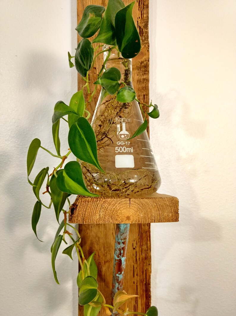 Erlenmeyer Flask 2 Wall Hung Plant Holder Hydroponic Etsy