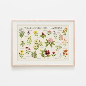 Peut inclure: Une affiche encadrée intitulée "Wildflowers of North Carolina" présentant des illustrations botaniques de diverses fleurs sauvages. L'affiche présente des dessins détaillés de fleurs dans des tons de violet, jaune, rose et orange, avec un feuillage vert, sur fond crème.