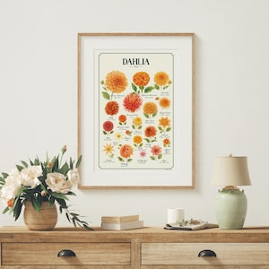 Puede incluir: Una impresión enmarcada que presenta una ilustración botánica de varias variedades de flores de dalia. La impresión muestra dibujos detallados de diferentes dalias en tonos naranja, rojo y amarillo, con la palabra "DAHLIA" en la parte superior.