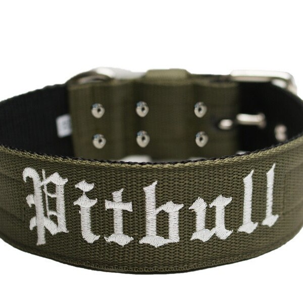 Pitbull Collar, Collar for Pitbull, Necklace Pitbull, Collar for Big Dog, Pitbull Collar, American Pit Bull Terrier Collar