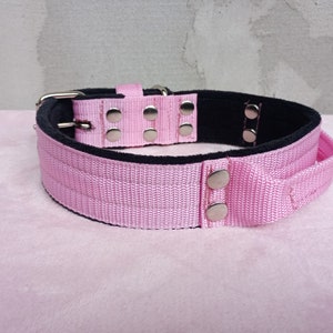 Nylon Dog Collar With Handle: Fleece Lined Training Collar