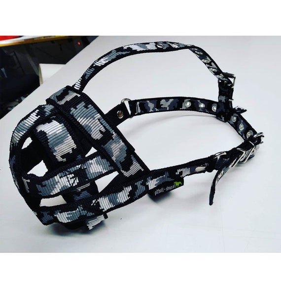Pitbull top muzzle size