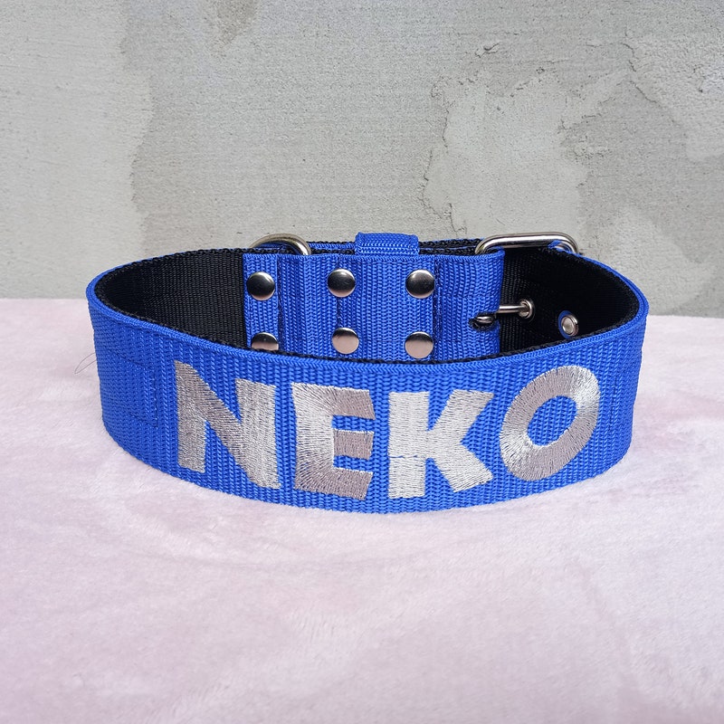 Dog Collar With Name - Etsy