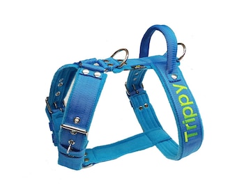 Personalized Dog Harness With Handle - Custom Embroidered Suspenders For Strong Dogs