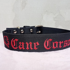 Embroidered Cane Corso Collar: Heavy Duty Nylon, Big Dog Collar