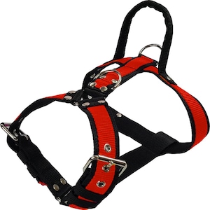 Pode incluir: Uma coleira para cães vermelha e preta com uma alça. A coleira apresenta um centro vermelho com bordas e tiras pretas. Possui ferragens de metal, incluindo argolas em D e fivelas ajustáveis. A coleira foi projetada para fixação e controle seguros.