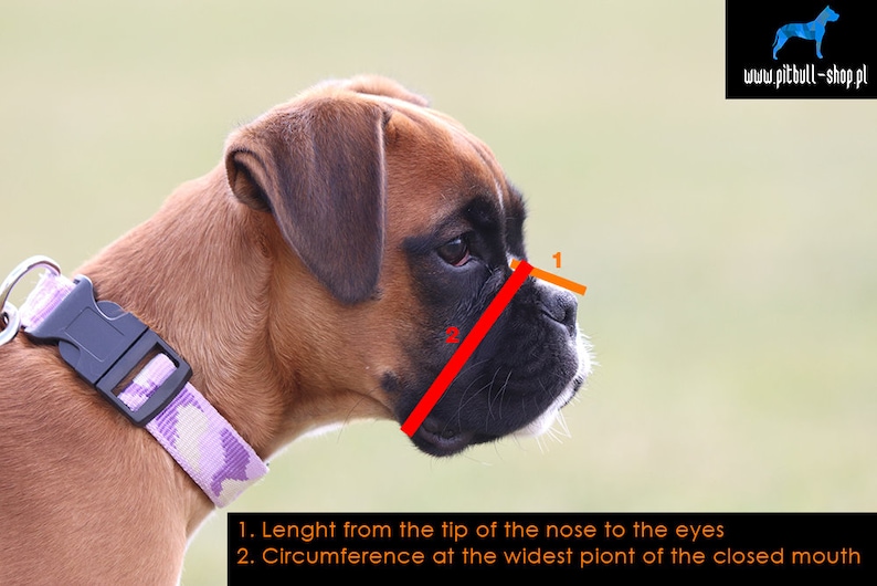 muzzle for pitbull petco muzzle for pitbull petco