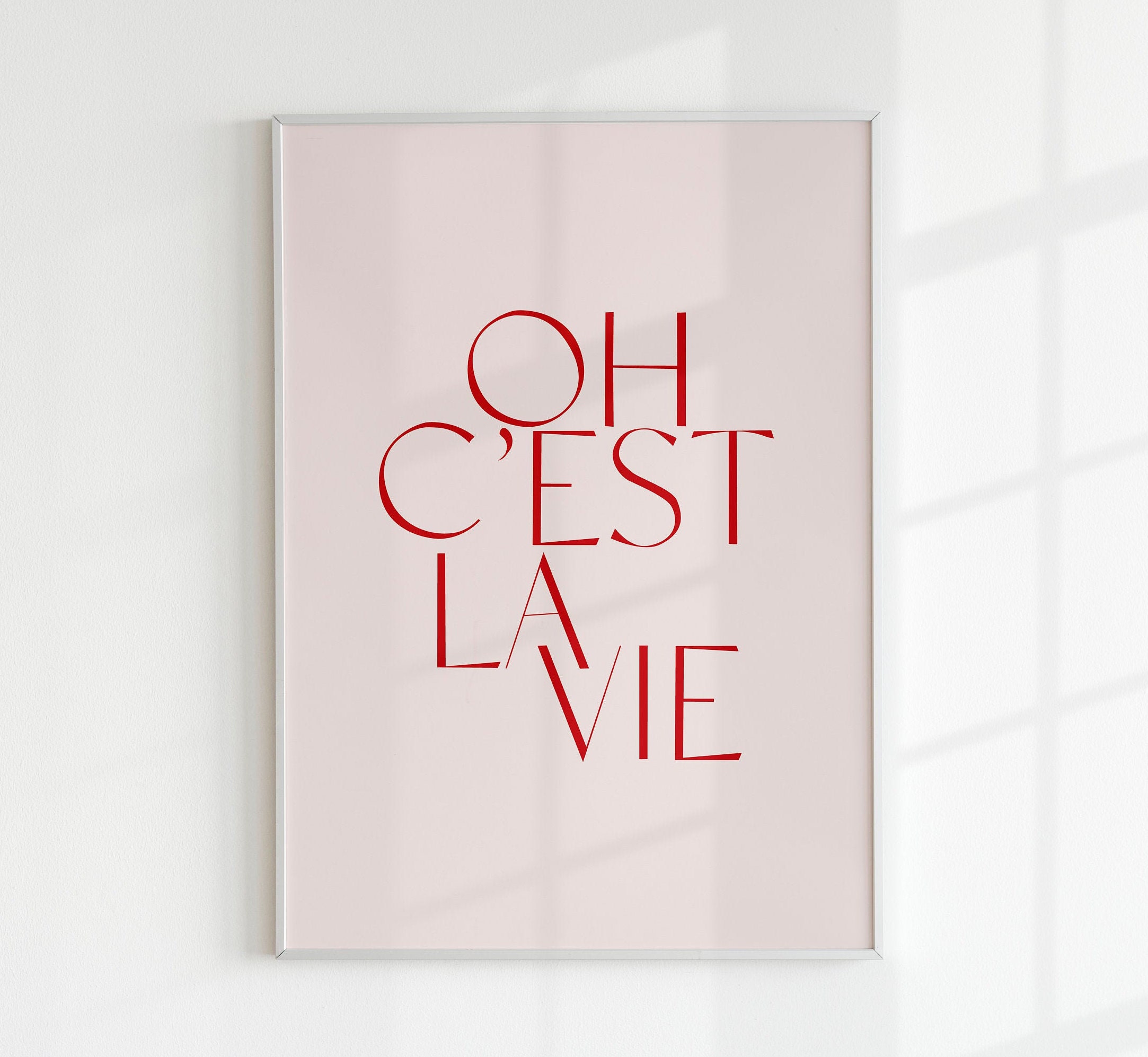 C'est la vie französischer Spruch französischer Spruch Etsy
