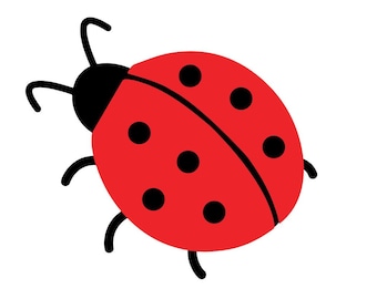 Lucky Ladybug applizierte Flex-Bügelmaße Ihrer Wahl