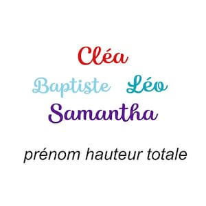 Prénom thermocollant HAUTEUR TOTALE flex appliqué transfert couleur et dimension au choix