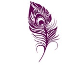 Feather Peacock bird boho Bohemian Flex thermoadhesive color and dimension to choose