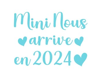 El mini nacimiento llegará a nosotros en 2024. Anuncie su embarazo. Bebé aplicado con plancha flexible, color y tamaño de su elección.