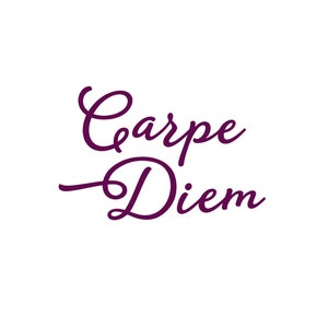 Carpe diem, a lovely message of positive thinking, heat-transfer flex, applied transfer, color and size of your choice